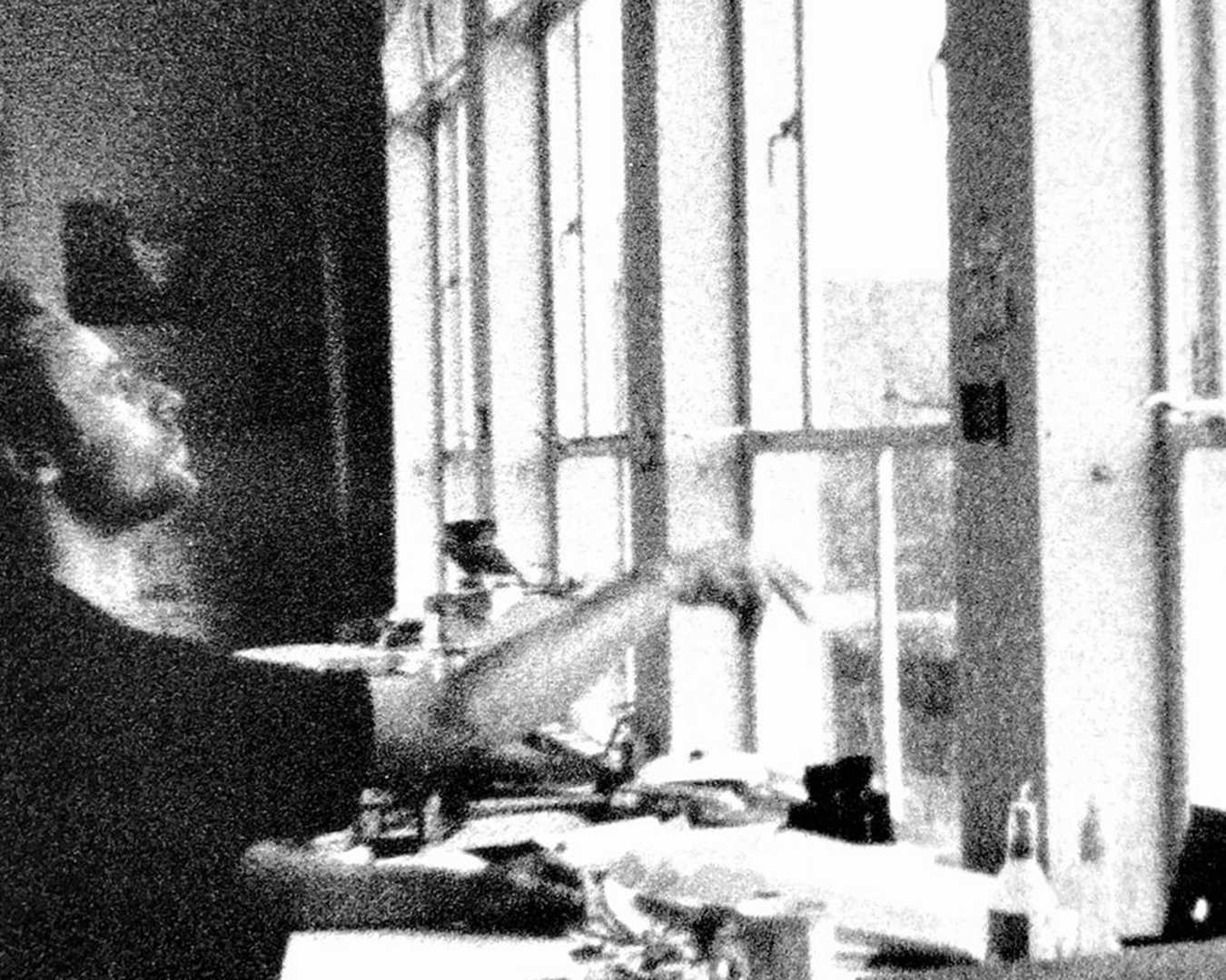 Book 22+9-PaulineHoogweg-02