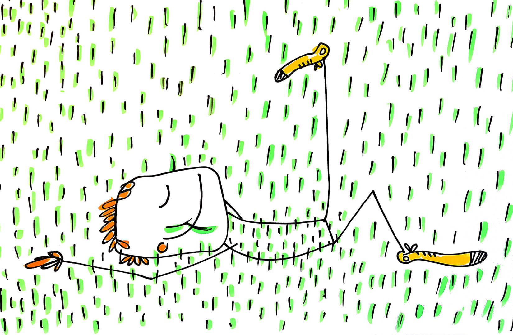 Book De koprol sketch Meadow Pauline Hoogweg