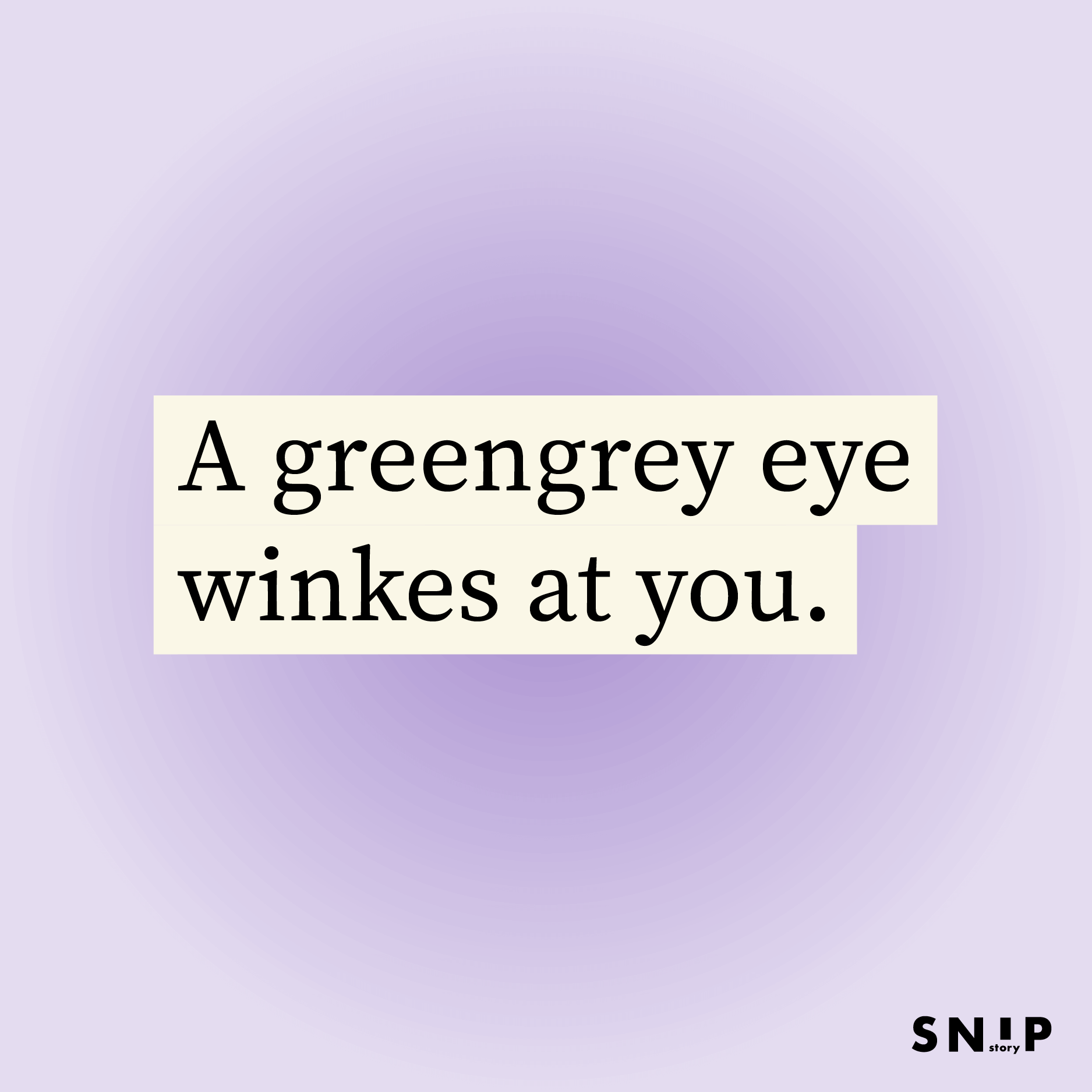 Snipstory-PaulineHoogweg_01